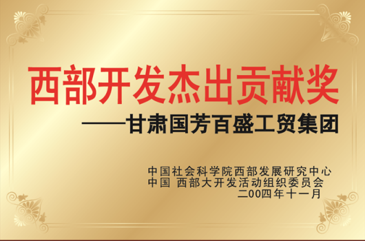 2004年，西部开发杰出贡献奖