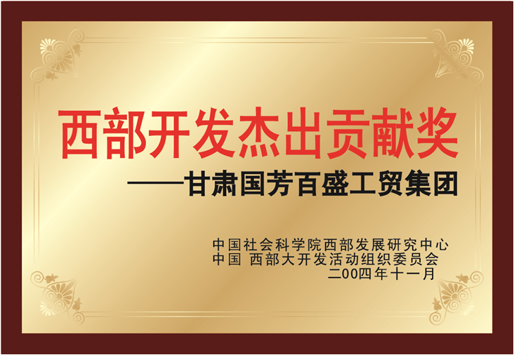 2004年，西部开发杰出贡献奖.png